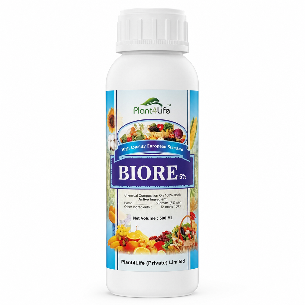Biore 5%