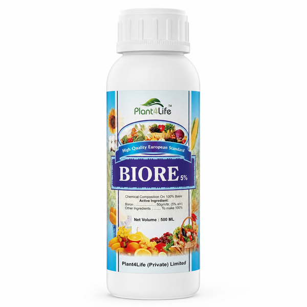 Biore 5%
