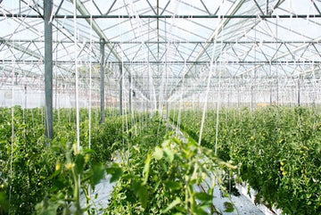 Fertilizer optimization video thumbnail